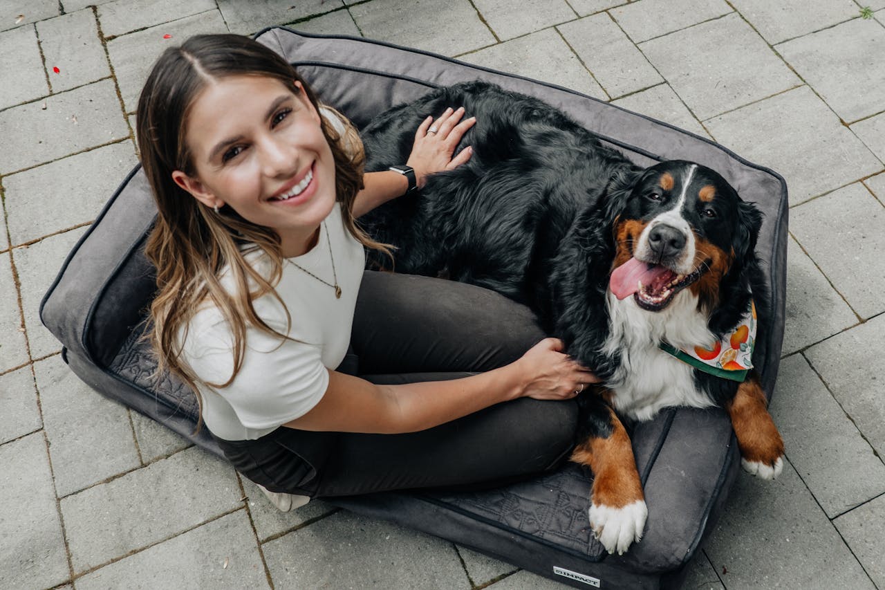 A happy Bernese Mountain Dog relaxing with a woman outdoors. Perfect for pet and lifestyle themes.