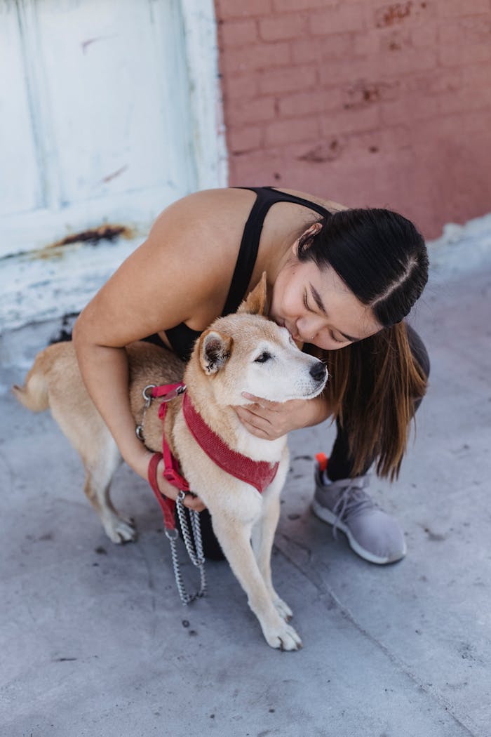 From above of young happy ethnic female embracing and kissing obedient cute dog near building on street