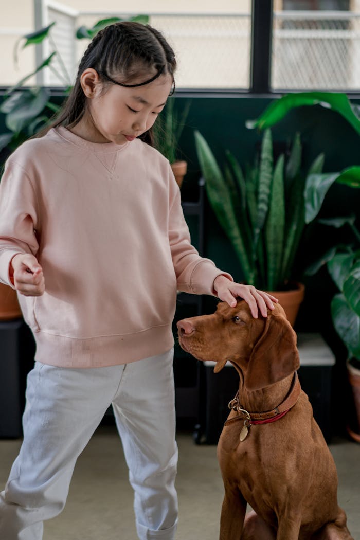 A child in a pink sweater pets a dog inside a room filled with plants.